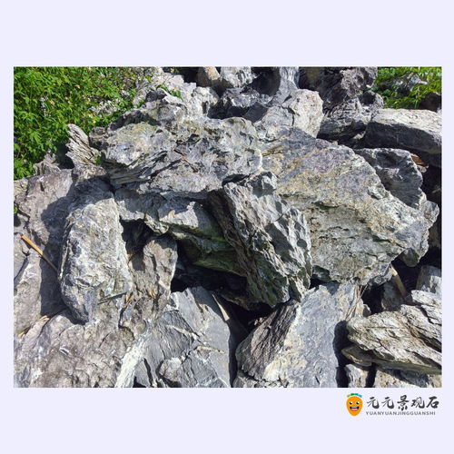 平臺(tái)石批發(fā) 深圳平臺(tái)石廠家 廣場(chǎng)綠化搭配石圖片